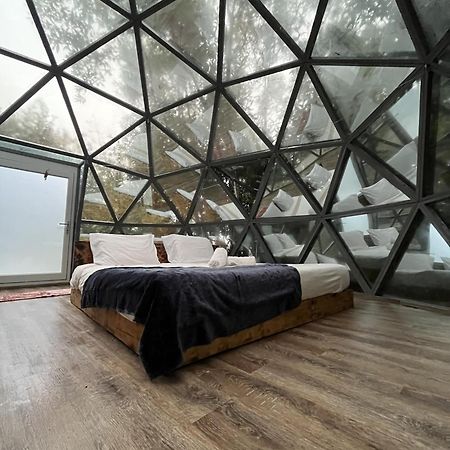 Quinta Do Abacate - Glamping Park Villa Angra do Heroísmo Exterior photo