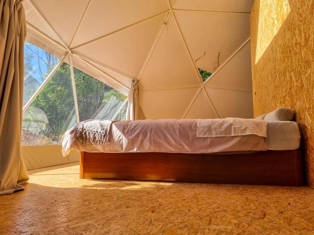 Quinta Do Abacate - Glamping Park Villa Angra do Heroísmo Exterior photo